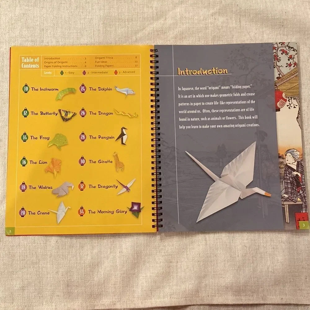 KIDS ART Activity Book Amazing Origami Creations 3 Skill Levels Paper Included